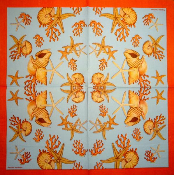 053 Muscheln - 3-lagig - ppd - Siddhia Hutchinson